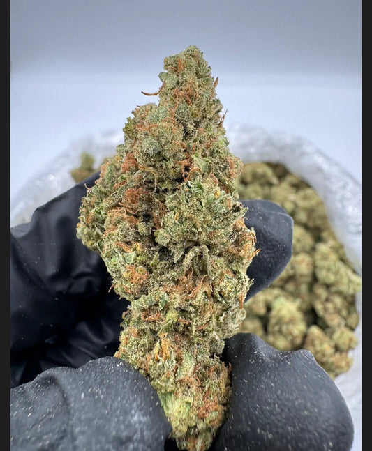 ALIEN OG TOP SHELF / EXOTIC FLOWER