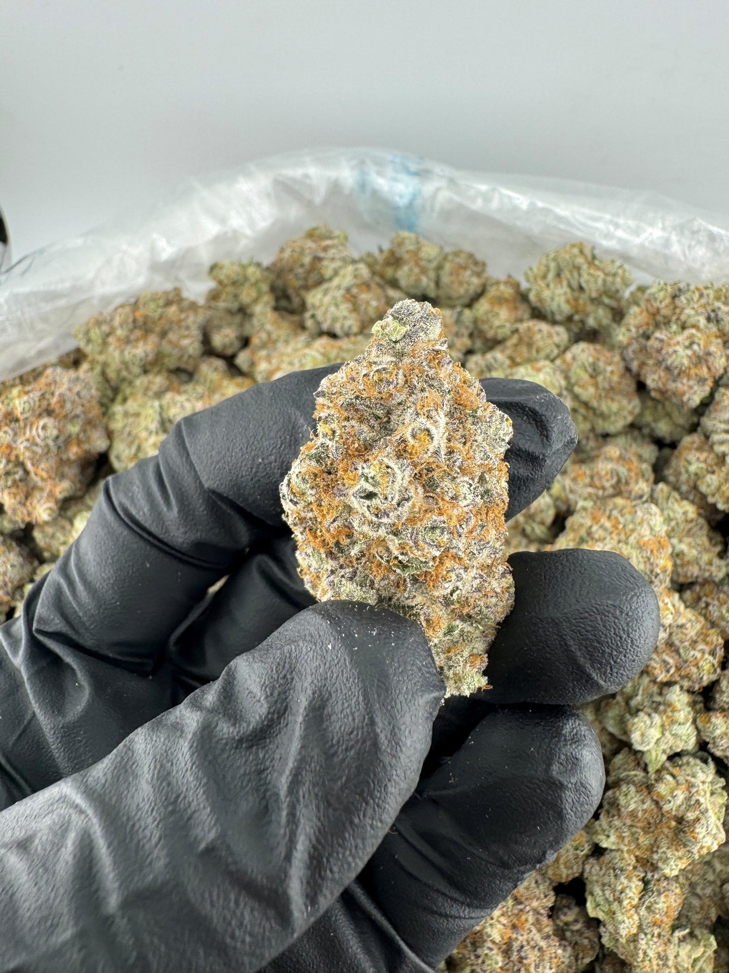 ICE CREAM CAKE TOP SHELF / EXOTIC FLOWER