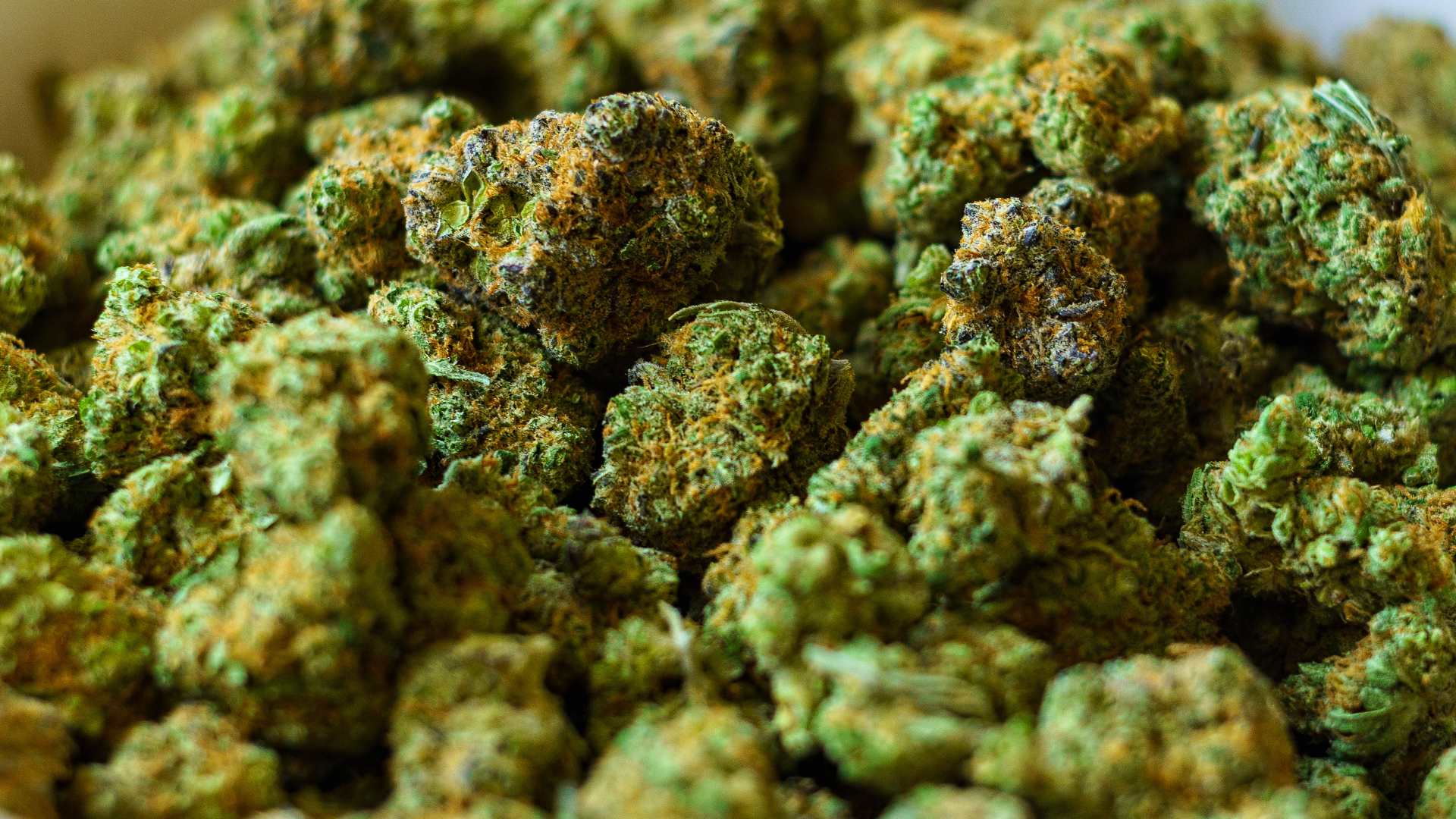 close up nugs by BMF crops blog