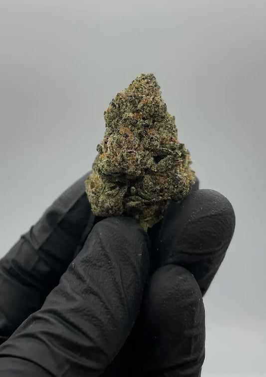 GELATO 41 TOP SHELF / EXOTIC FLOWER