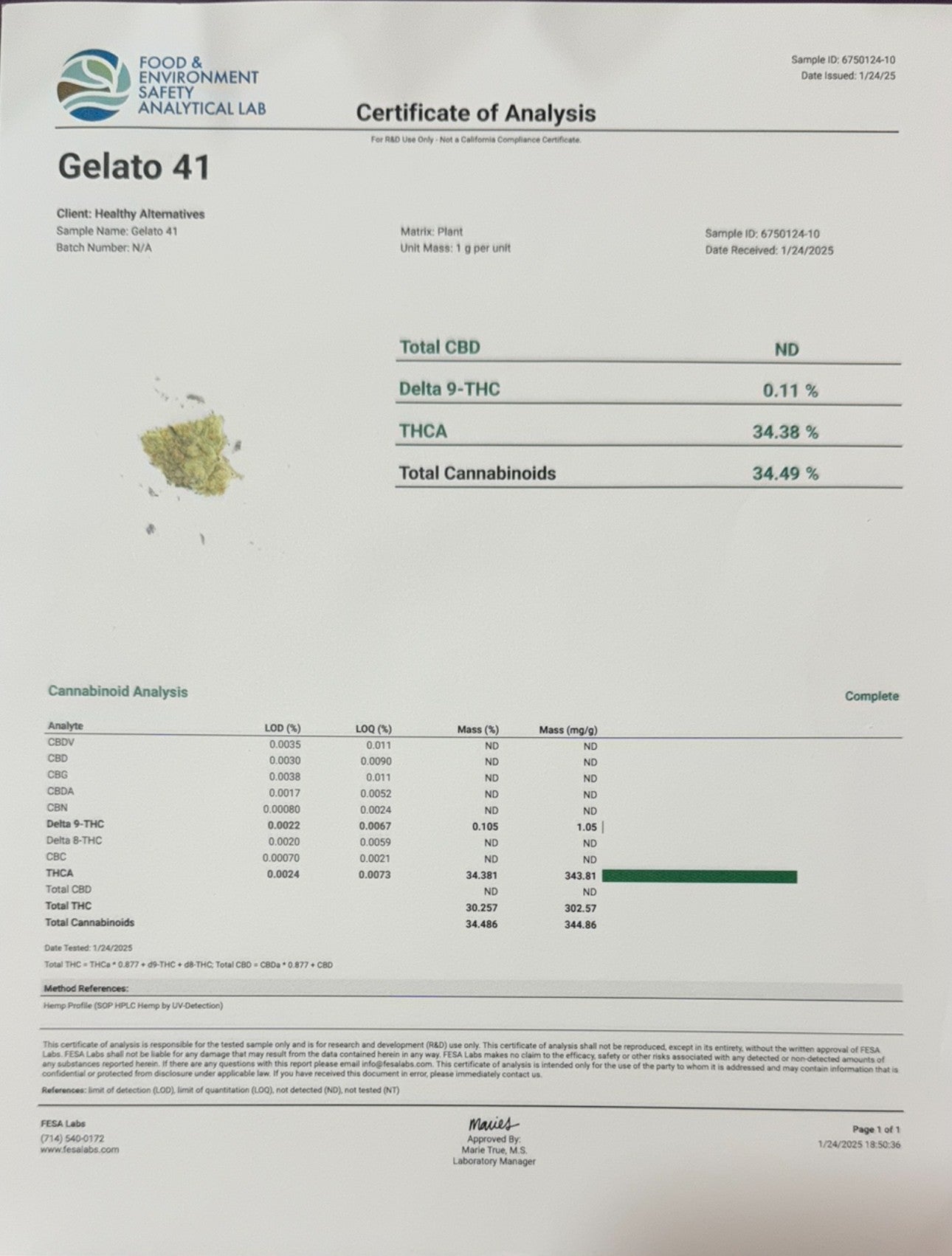 GELATO 41 TOP SHELF / EXOTIC FLOWER