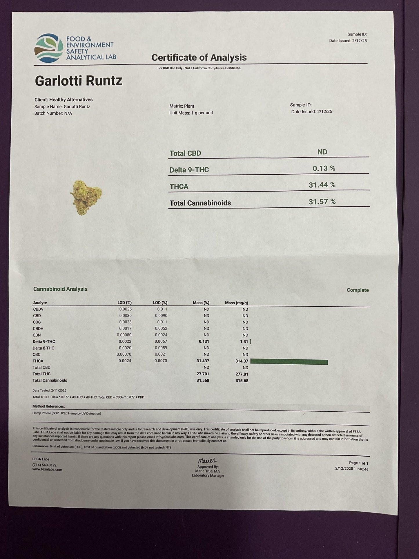 GARLOTTI RUNTZ TOP SHELF / EXOTIC FLOWER