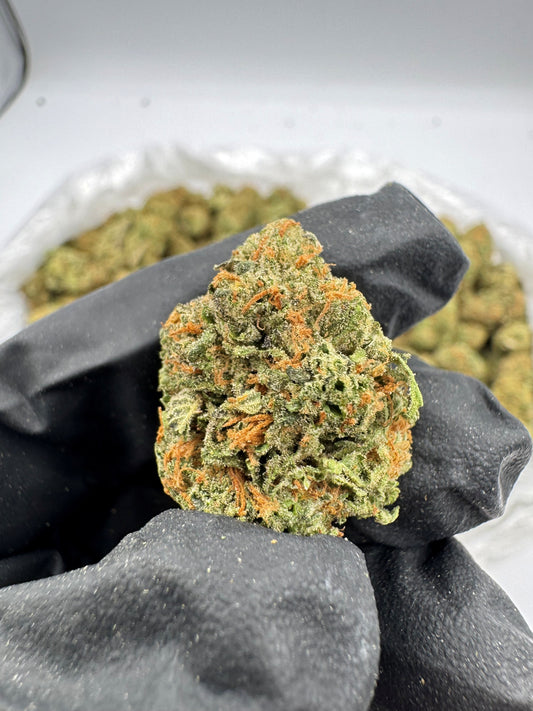 GARLOTTI RUNTZ TOP SHELF / EXOTIC FLOWER