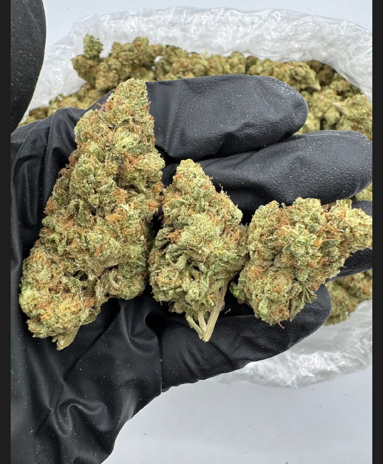 ALIEN OG TOP SHELF / EXOTIC FLOWER