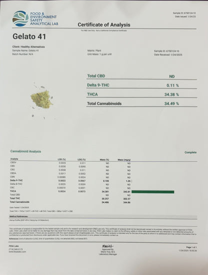 GELATO 41 TOP SHELF / EXOTIC FLOWER