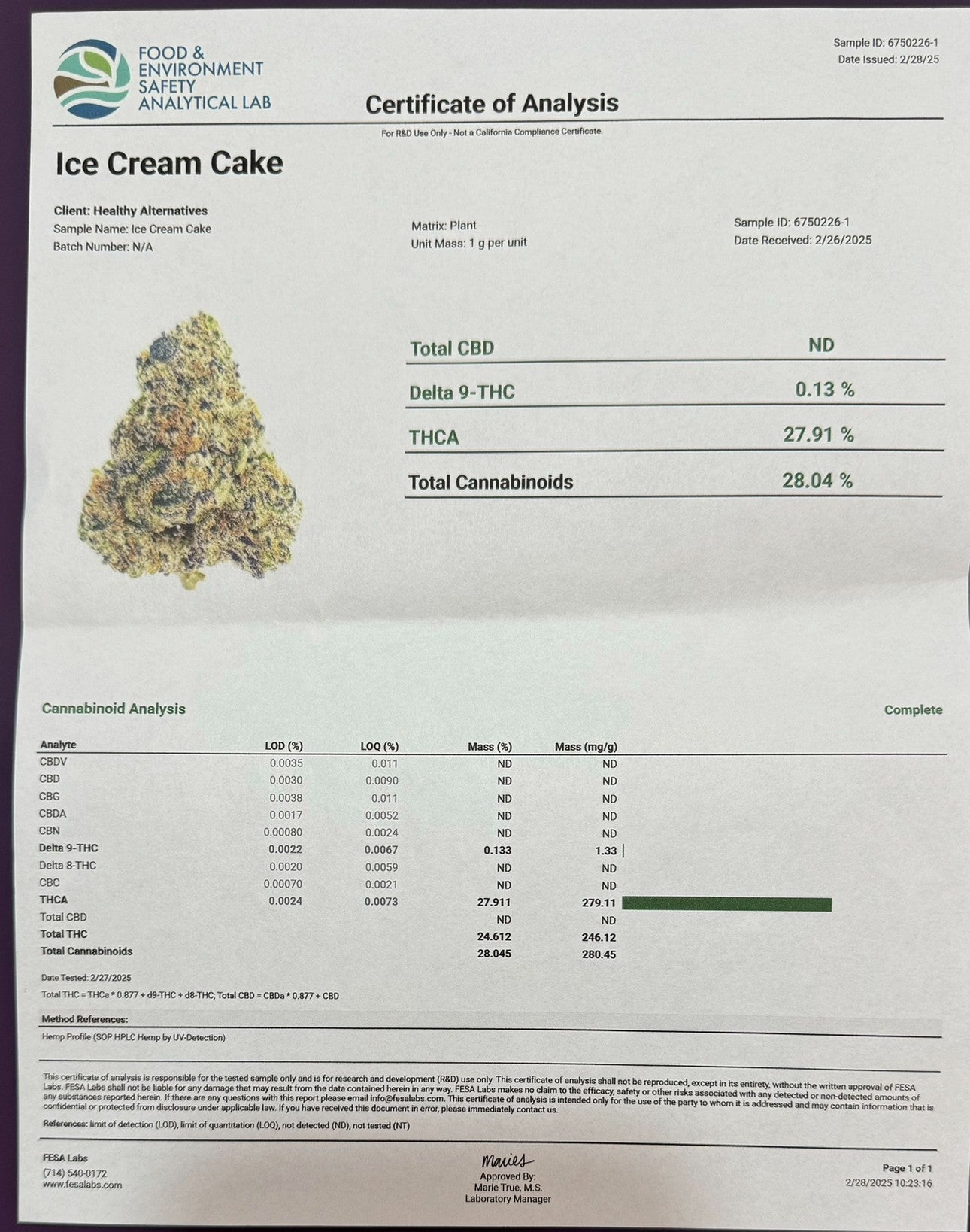 ICE CREAM CAKE TOP SHELF / EXOTIC FLOWER